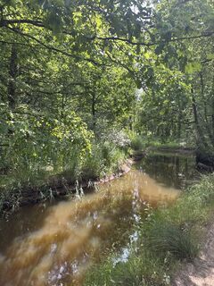 Foto von Babita entlang der Tour