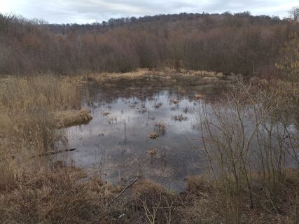 Fotografija s spletne strani Regina Lindner 1 na poti