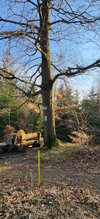 Fotografia z helga-k na trase