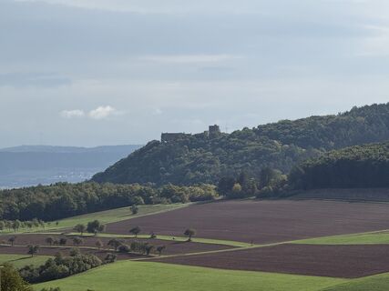Photo de Norbert Herbig le long du parcours