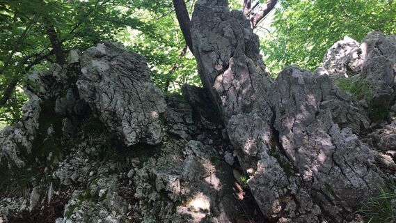 Fotografia z Lomalinda na trase