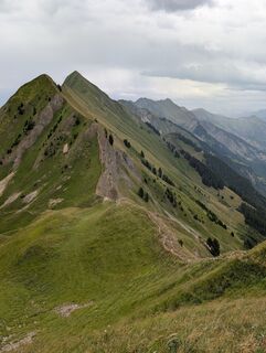Fotografija s spletne strani Dimitri Friesen na poti
