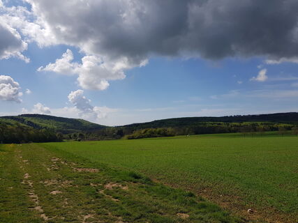 Landschaft