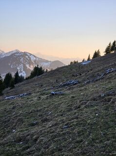 Photo de Moscho le long du parcours