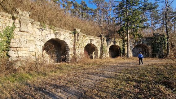 Fotografija s spletne strani Claudia Maurer na poti