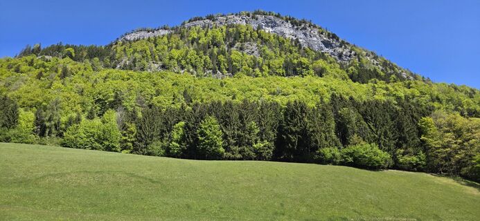 Foto von Elfriede Moessler entlang der Tour