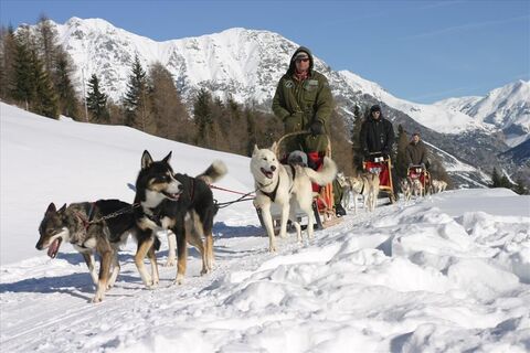 Hundeschlittenfahrten im Alta Valtellina