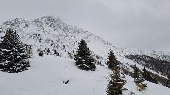 Photo de Gibi le long du parcours