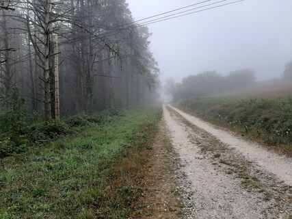 Foto von Niek Abbes entlang der Tour