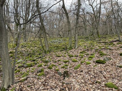Fotó a Andonisz Haronisz honlapról a túra során