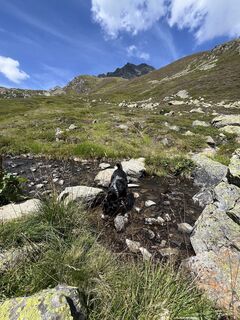 Foto de Monika Loeb a lo largo del recorrido