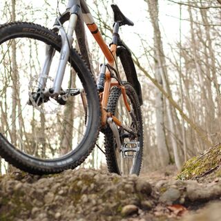 Mountainbike im Wald