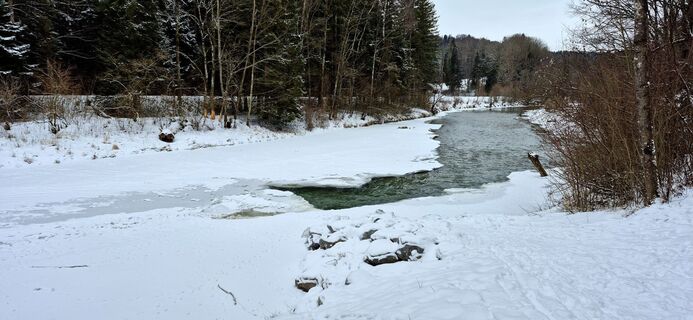 Fotografia z Thomas Schekira na trase