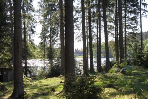 Schwemmweg