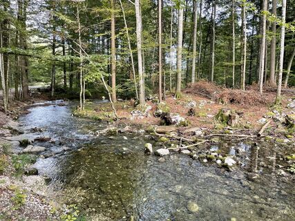 Photo de Harald Daspelgruber le long du parcours