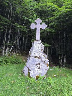 Foto von Latschngeist Michl entlang der Tour