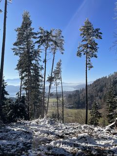 Foto von Stefan Chalupa entlang der Tour