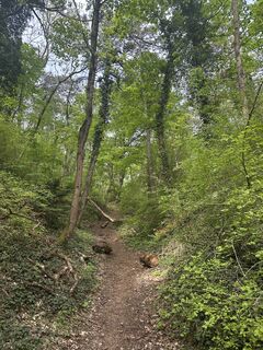 Foto von Gerians entlang der Tour