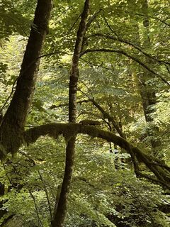 Foto von Clemens Resch entlang der Tour