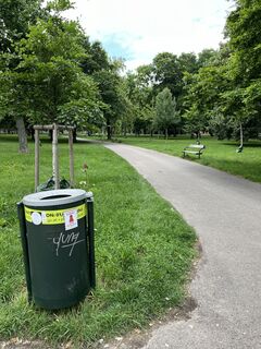 An dieser schönen Mistkübelrose vorbei weiter
