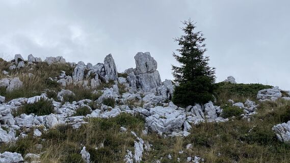 Foto von Ma Wa entlang der Tour