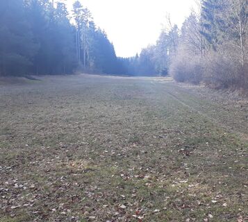 Blick ins hintere Erfurter Tal