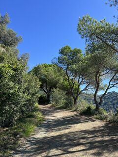 Fotografija s spletne strani Alexandra von Rheinbaben na poti