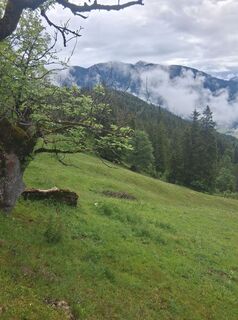 Foto von Wiffwagener entlang der Tour