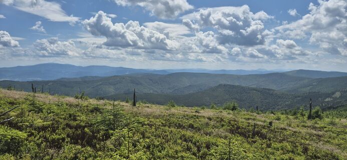Foto de Anna Brudny a lo largo del recorrido
