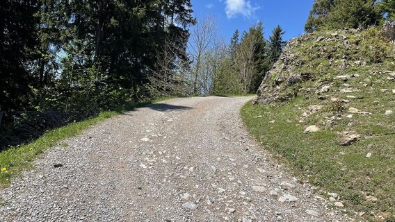 Foto von Markus gutensohn entlang der Tour