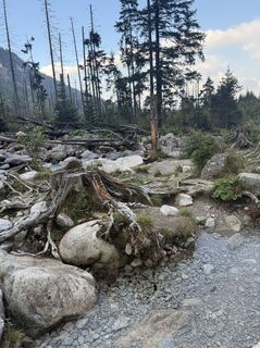 Fotografija s spletne strani Tomasz Setlik na poti