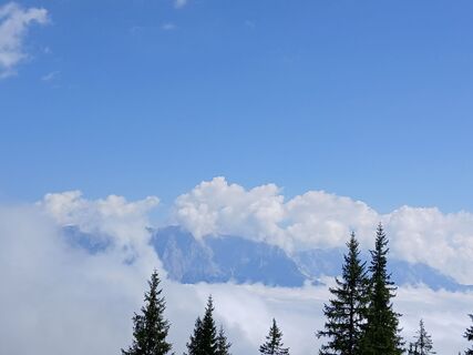 Fotografija s spletne strani herbert 135 na poti