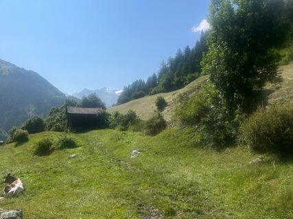 hohe-bank-wandern-prägraten-c-anna-ladstaetter.jpeg