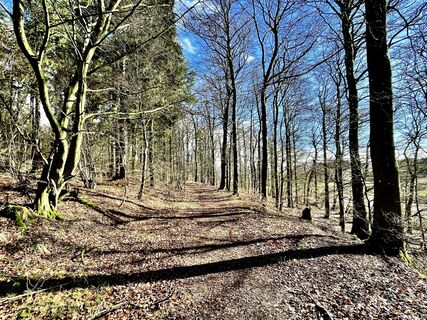Foto de Les aventures de Ghislain a lo largo del recorrido
