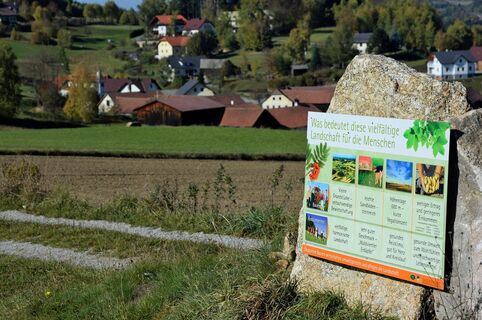 Infotafel am Weg