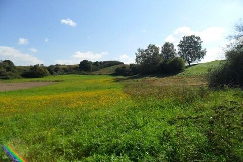 Wiese am Feldrand