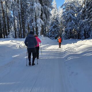 Winterwanderweg Langer Berg