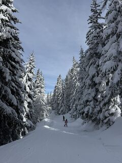 Photo de Julia Roelen le long du parcours