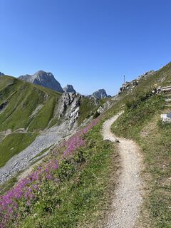 Photo de Franziska Mordasini le long du parcours