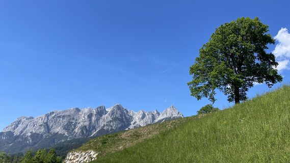 Fotografija s spletne strani Gerhard Wipplinger na poti