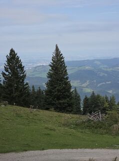 Zdjęcie z Hermann Gössler wzdłuż trasy