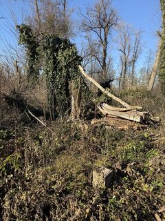 Fotografia z Gottfried Wietinger na trase