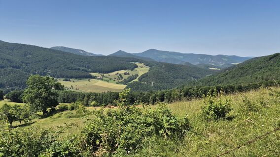 Fotografia z Claudia Maurer na trase