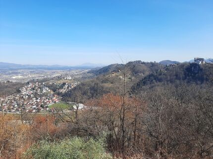 Fotografija s spletne strani Marija Skrt na poti