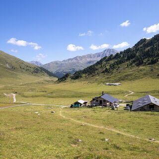 Alp Astras