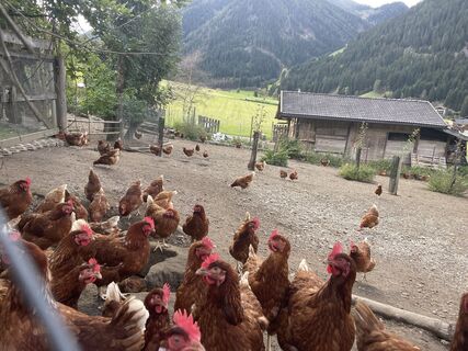 Photo from Mario Gramer along the tour
