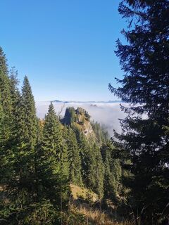Fotografie z Steinbock na trase