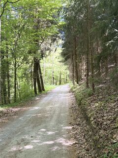 Fotografija s spletne strani Elke Lindorfer na poti
