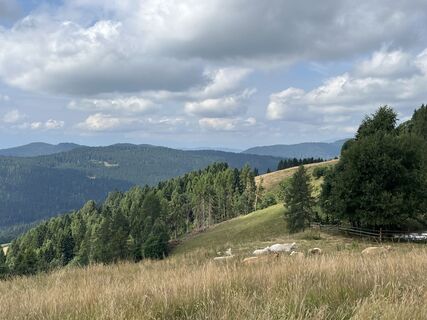 Foto von Alberto Schiavinato entlang der Tour