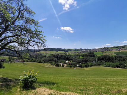 Ausblick auf Gutenburg und Weilheim